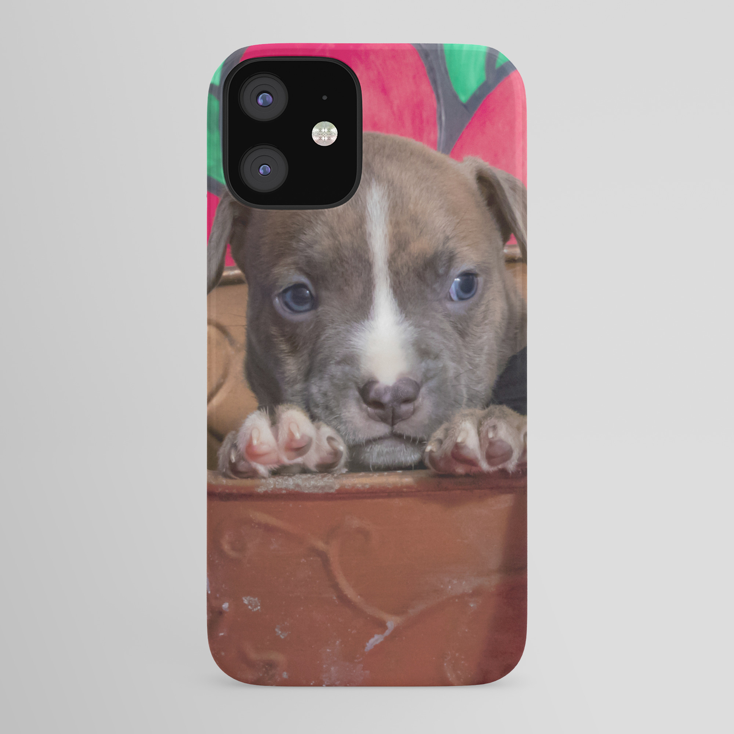 society6