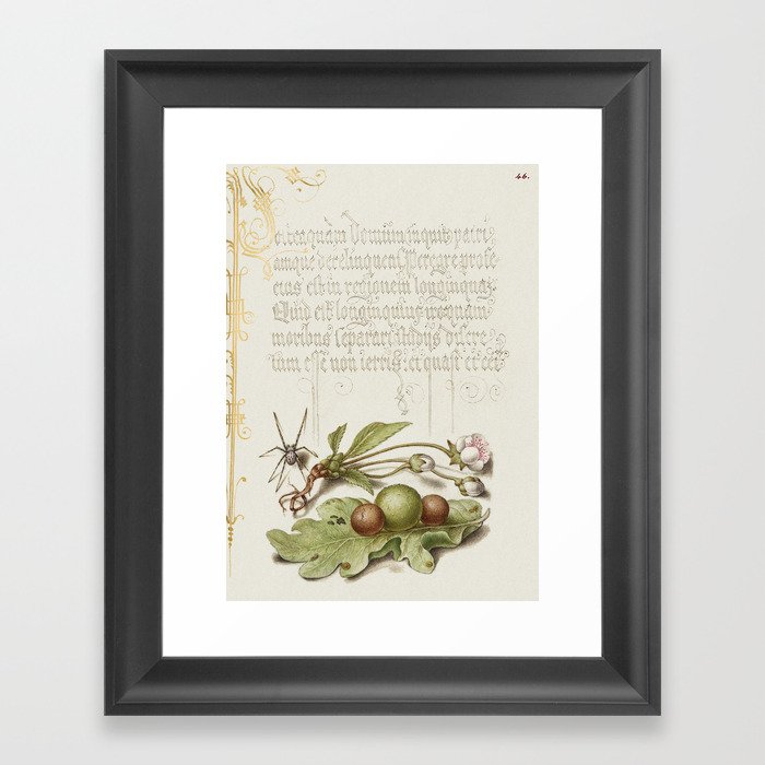 Calligraphic poster with fruit and  flowers Framed Art Print