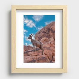 Ewe Desert Bighorn Sheep 3306 - Valley of Fire State Park, Nevada Recessed Framed Print