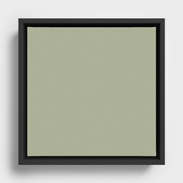 Olive Sprig Framed Canvas