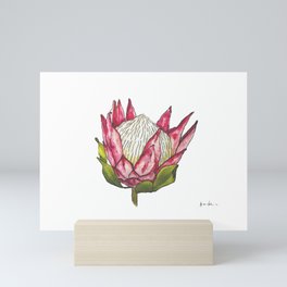 Watercolor King Protea on white Mini Art Print