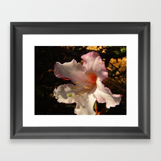 untitled 15 Framed Art Print