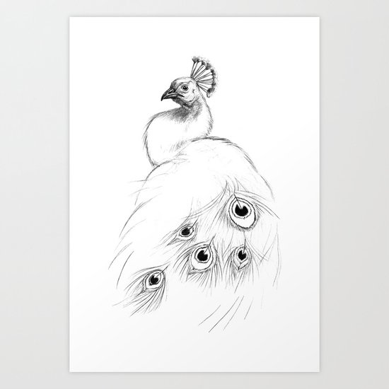 Peacock SK097 Art Print