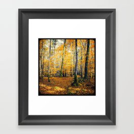 Yellow Trees Framed Art Print