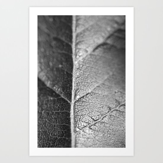 Macro flower 3 Art Print