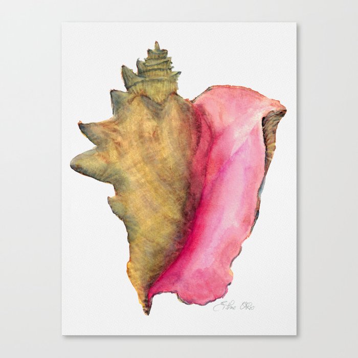 Conch Shell Canvas Print