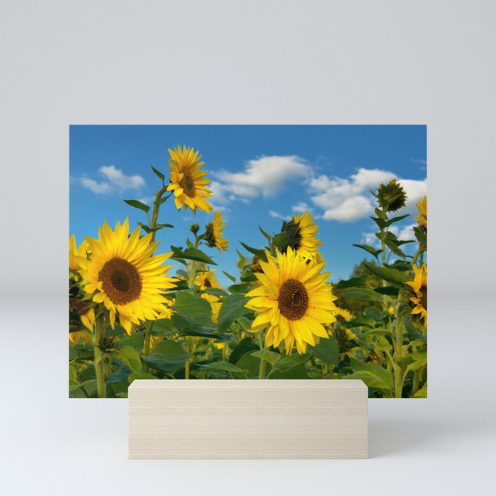 Sunflowers 11 Mini Art Print