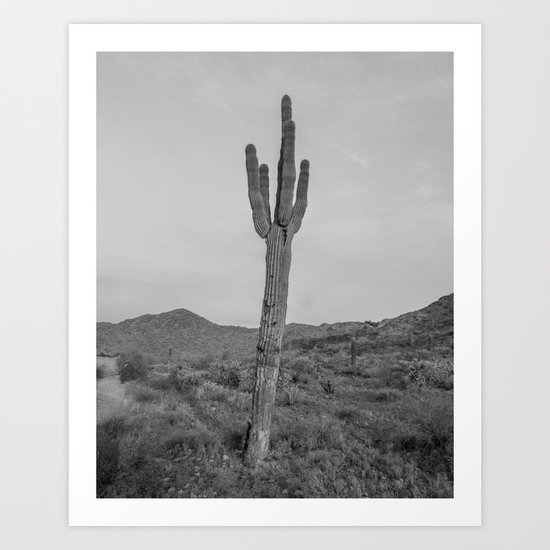Desert Landscape Arizona Saguaro Arizona Cactus Print Southwestern Decor Desert Cactus Photo Saguaro Photography Boho Desert Print