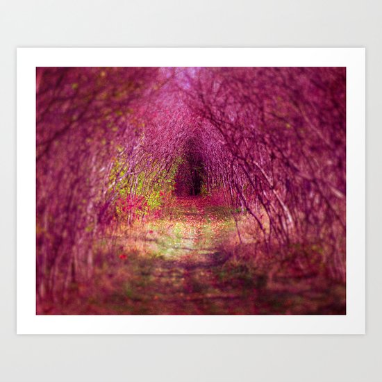 Into the Pink Art Print