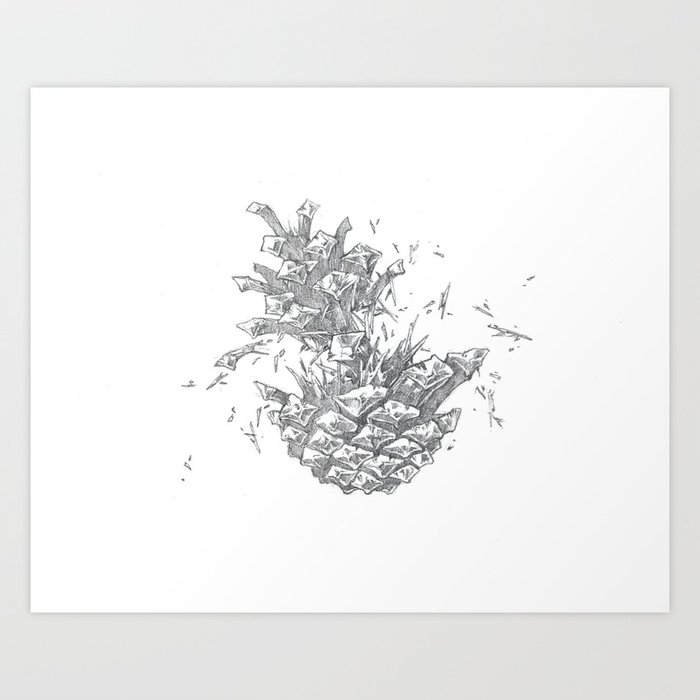 Broken Cone Art Print