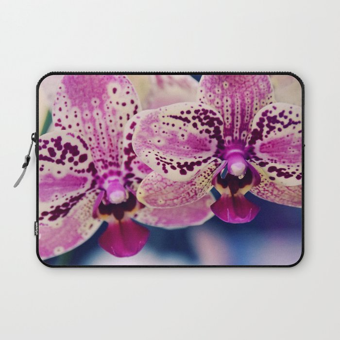 Close up Orchid #10 Laptop Sleeve