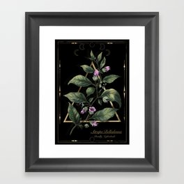 Belladonna. Deadly nightshade. Magic herbs  Framed Art Print