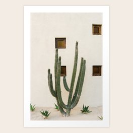 Cabo Cactus IX Art Print