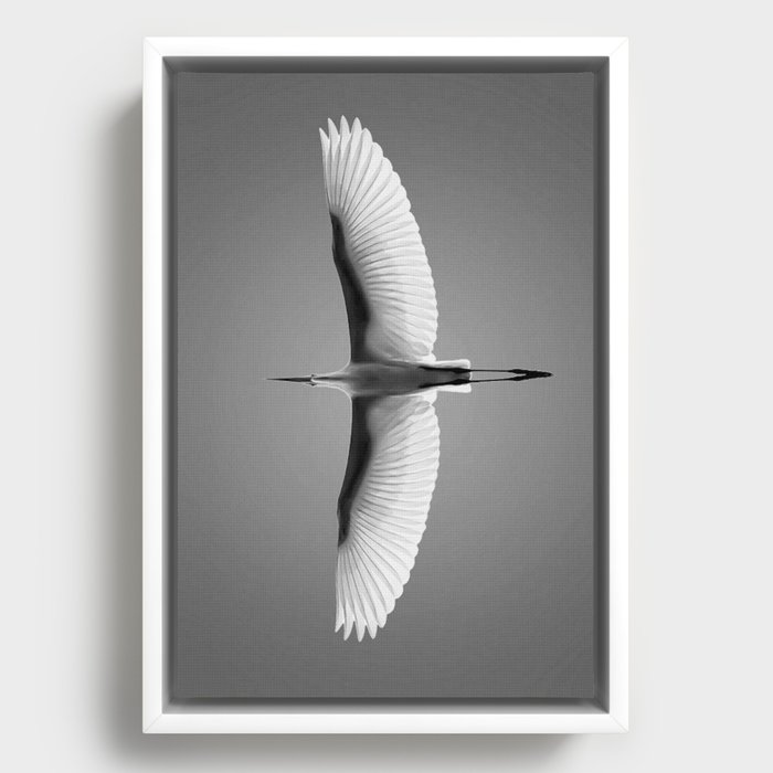 Framed Canvas