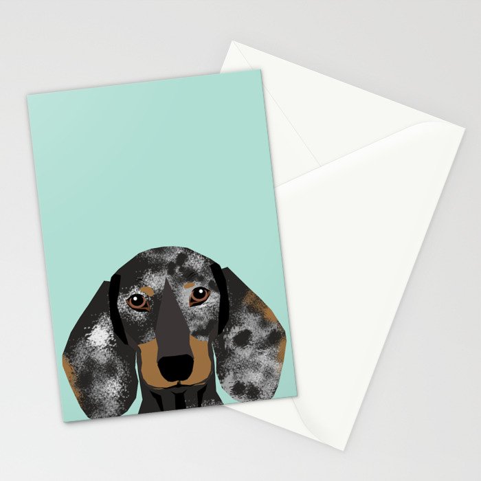 Doxie Dachshund merle dapple dog cute must have dog