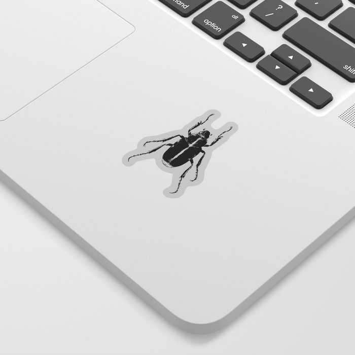Bugs Sticker