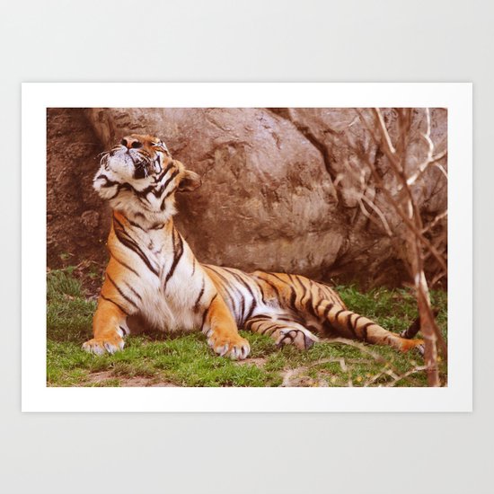 Head Toss Art Print