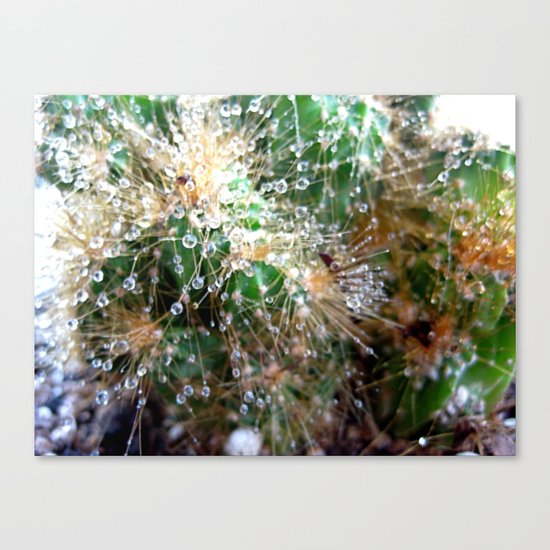 Reggie Prickles Canvas Print