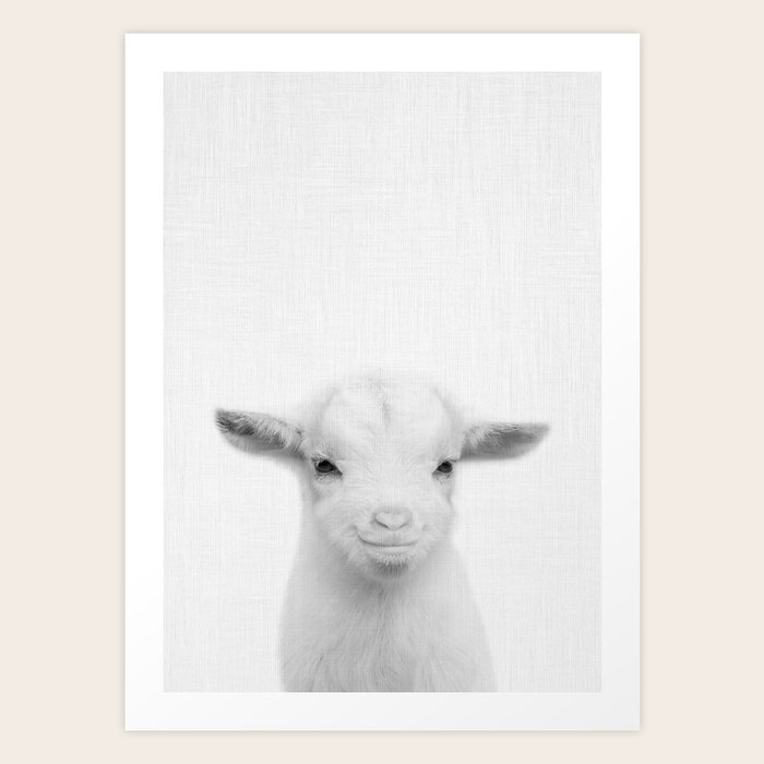 picture Black And White Goat Artwork society6