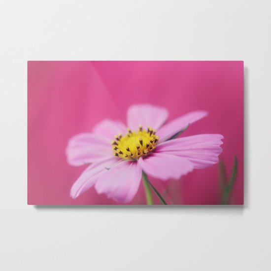 The Girly Side Metal Print