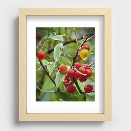 Wild Berries Recessed Framed Print