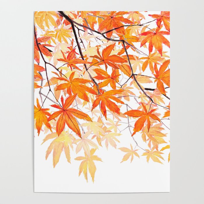 orange maple leaves watercolor Poster