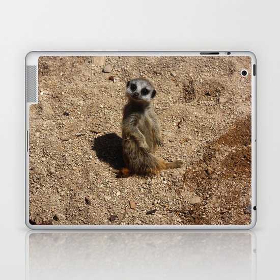 Meerkat Laptop & iPad Skin