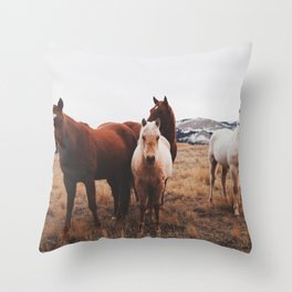 the range pillows
