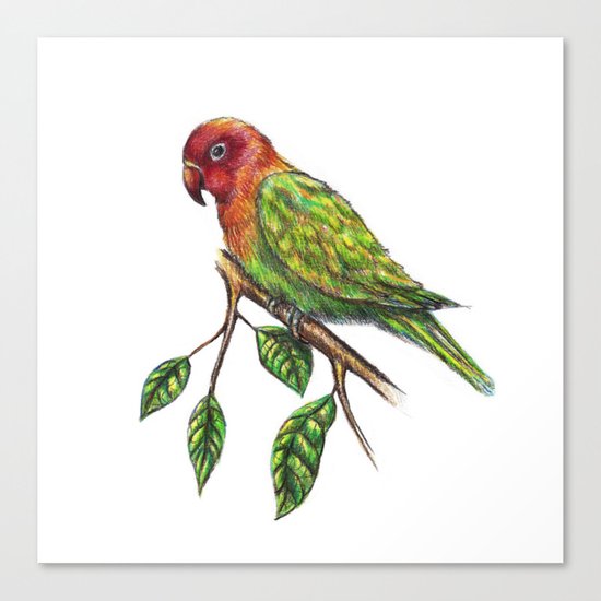 Parrot Hanssel Canvas Print