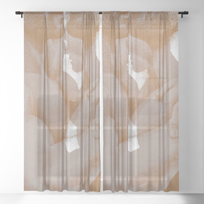 Sheer Curtain