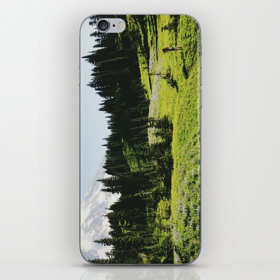 Mt Rainier Shooter iPhone & iPod Skin