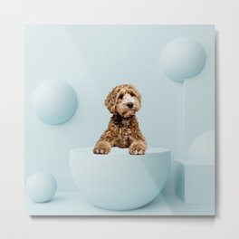 Goldendoodle Laying on Sphere Podium Metal Print | Puppy, Surreal, Geometric, Minimalism, Blue, Sky, Poodle, Pastel, Collage, Babyblue 