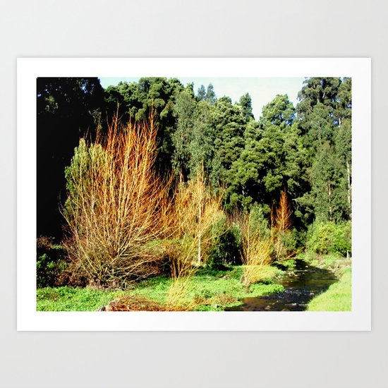 Otway Ranges Art Print