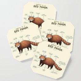 Anatomy of a Red Panda Coaster | Cute, Comedy, Bear, Anatomy, Cuddly, Fluffy, Curated, Diagram, Anatomical, Silly 