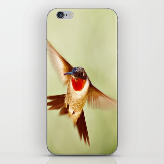 The Hummingbird iPhone & iPod Skin