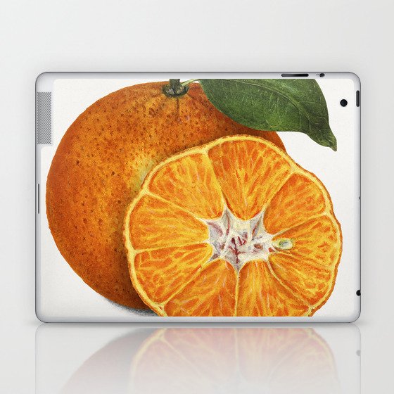 Delicious Orange Tangerine Illustration Laptop & iPad Skin