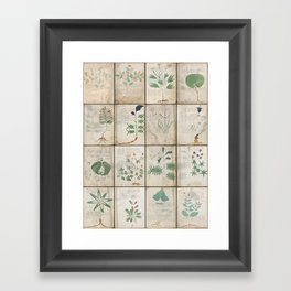 The Voynich Manuscript Quire 1 - Natural Framed Art Print