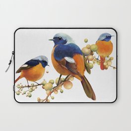 spring dating birds Laptop Sleeve