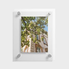 Savannah VI Floating Acrylic Print