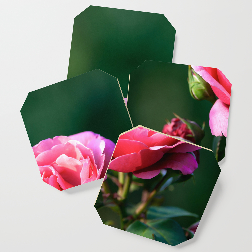 Beautiful Pink Rose Flower Coasters by digital2real