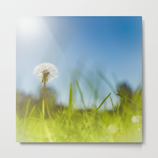 Blue & Green & Dandy Metal Print