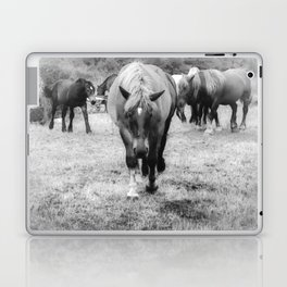 Misty vintage monochrome horses on the field pixel art Laptop Skin