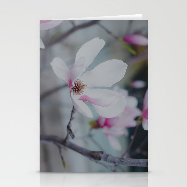 White Magnolia Photo Stationery Cards