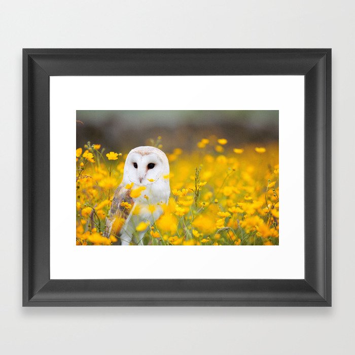 Little Owlet in Flowers (Color) Framed Art Print