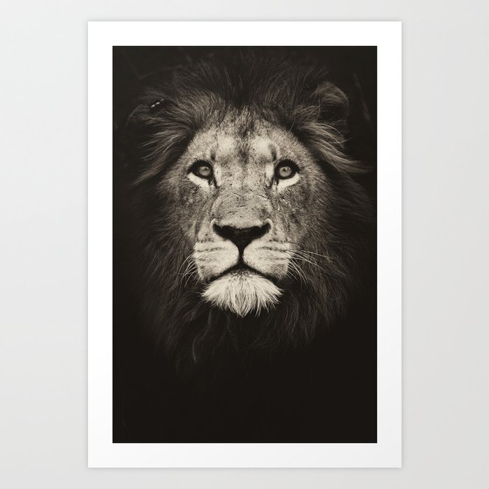 Portrait of a lion king - monochrome photography illustration Art Print