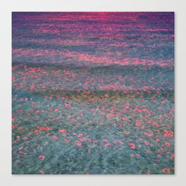 space sunset floral illusion perceived fabric look Canvas Print