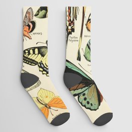 French Vintage Butterflies Chart Adolphe Millot Papillons Larousse Pour Tous Cozy Boho Maximalist Socks