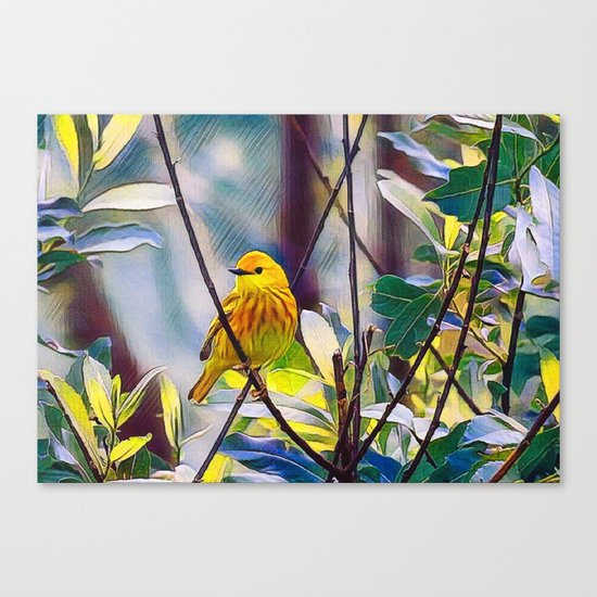 Sweet Yellow Warbler Canvas Print
