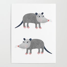 Possum Poster