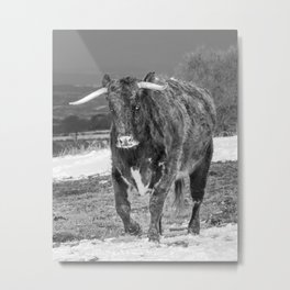 English Longhorn Black And White Metal Print | Farm, Photo, Longhorn, Snow, Landscape, Black and White, Animal, Steer, Cow, Winter 